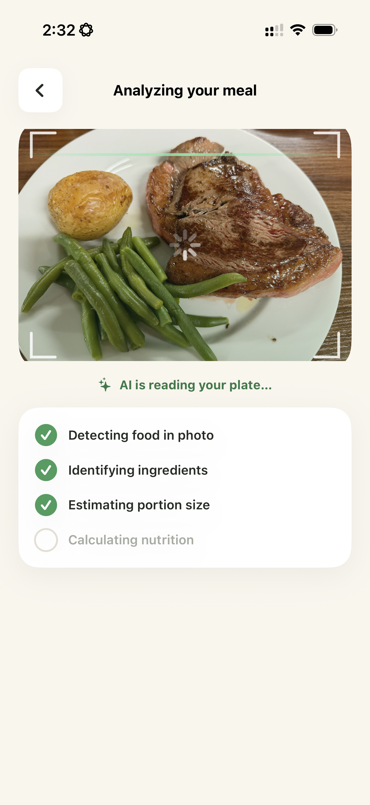 Beforeat analyzing a photographed meal